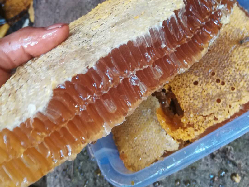 常食蜂蜜让你远离医生