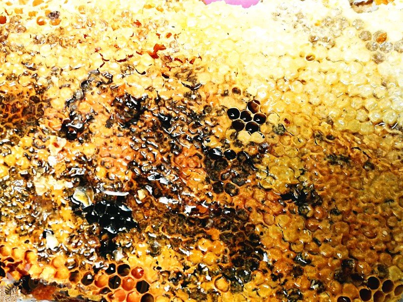 食疗保健话蜂蜜