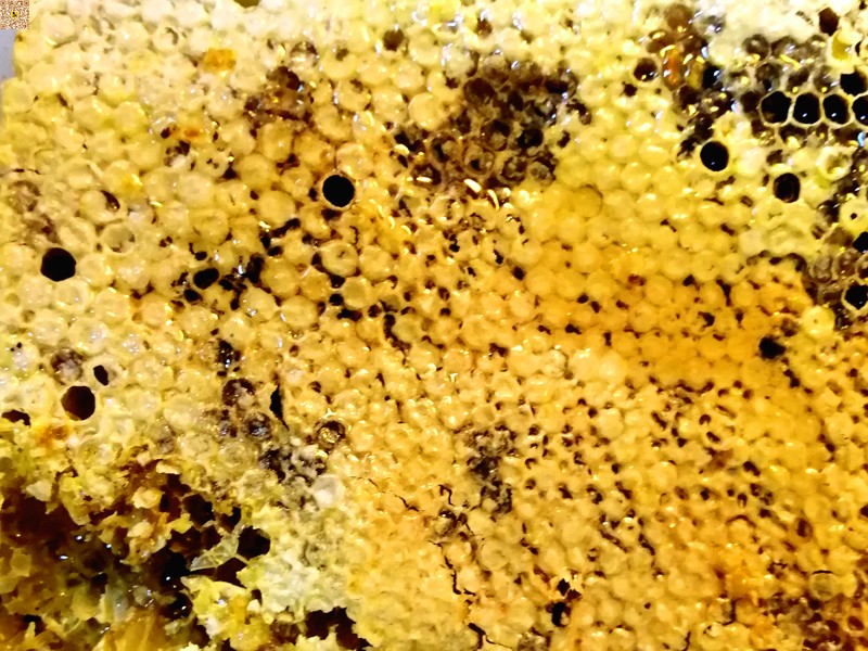 蜂蜜双花饮帮你去除春燥